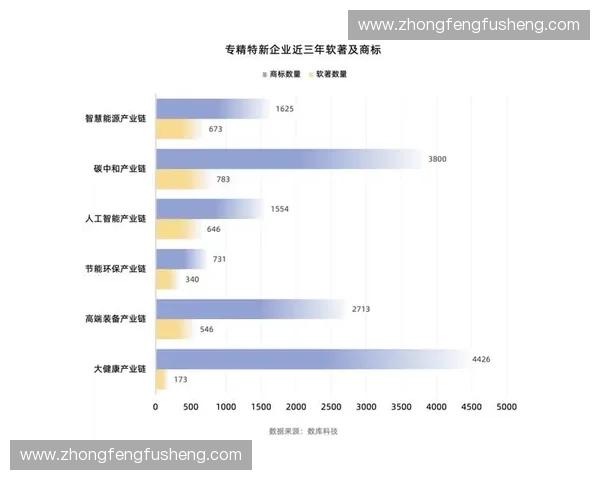 聚焦年轻消费与赛事生态构建体育品牌孵化创新增长新模式发展路径